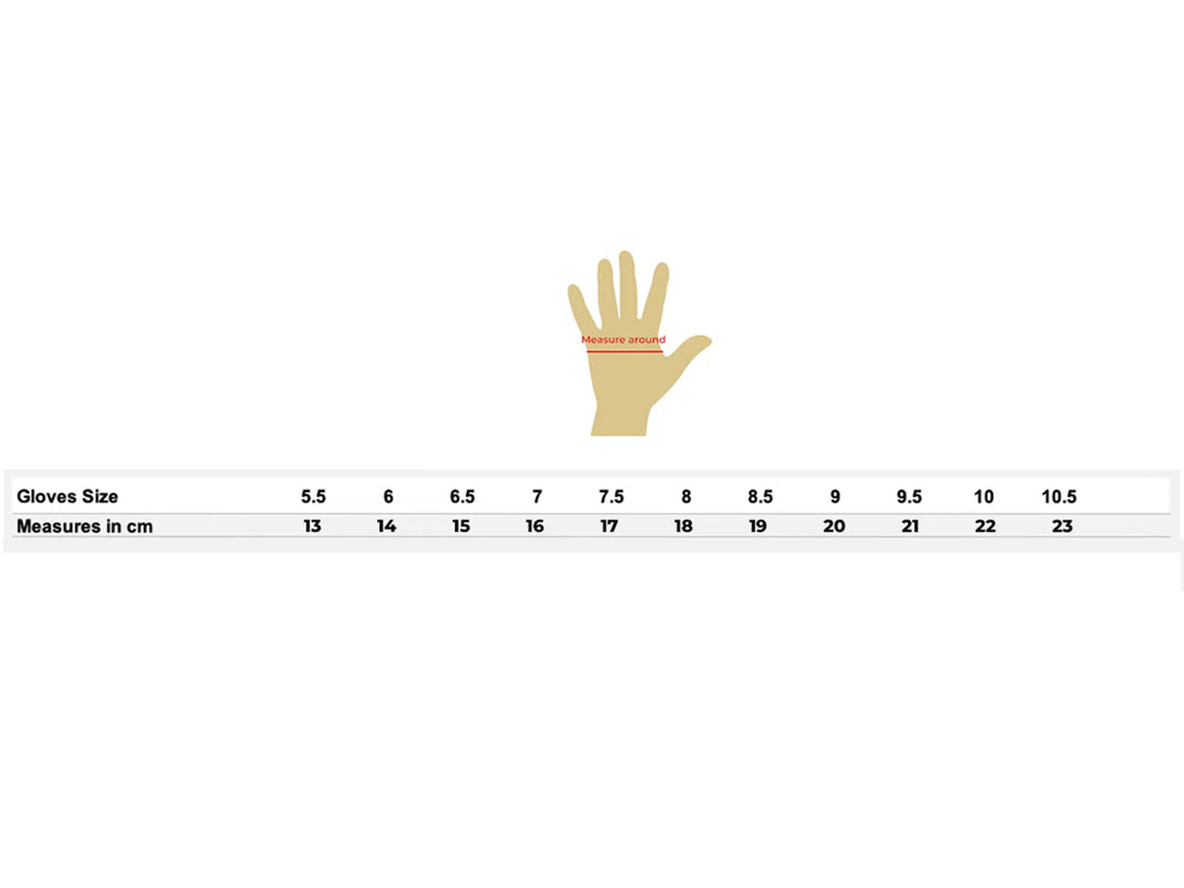 Fencing Glove for Foil and Epee (bundle)