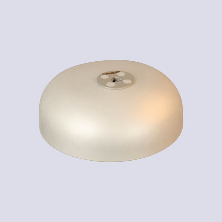 Titanium Epee Guard